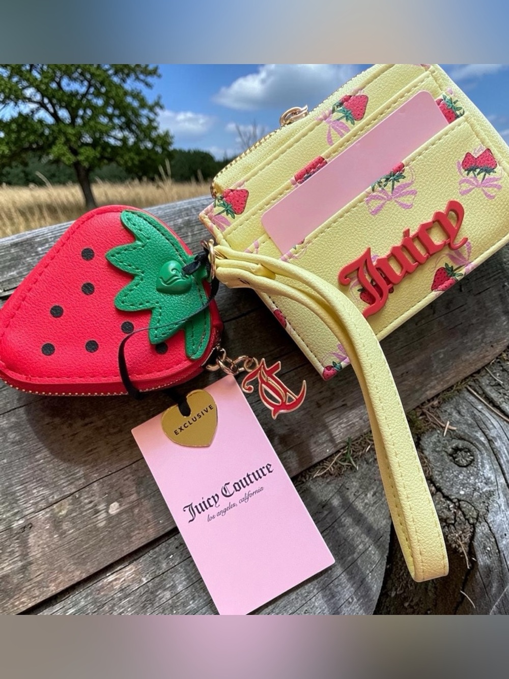 JUICY COUTURE, SWEET STRAWBERRY CARD HOLDER COIN CASE 🍓 🍃 NWT